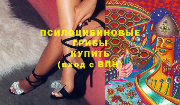 гидра Алзамай