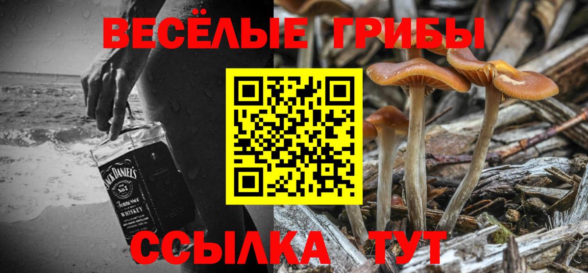 Брянск  Галлюциногенные грибы Magic Shrooms  Вход с VPN 